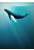 fotomural Artsy Humpback Whale azul de Komar