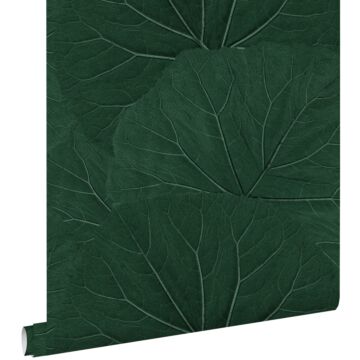 papel pintado hojas grandes verde esmeralda de ESTAhome