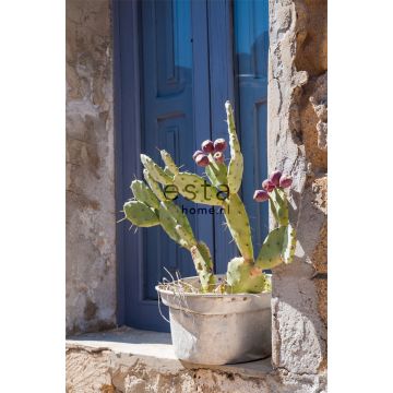 fotomural cactus   azul, verde y beige de ESTAhome