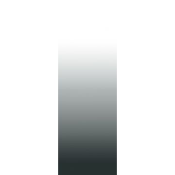 fotomural gradiente de color dip-dye del suelo al techo blanco y negro de ESTAhome