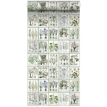 papel pintado XXL páginas de un libro botánico de flores y plantas verde de ESTAhome