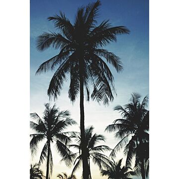fotomural palmeras azul, negro y beige de ESTAhome
