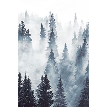 fotomural bosque de niebla verde de ESTAhome