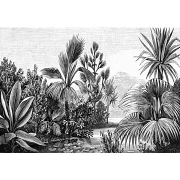 fotomural paisaje tropical blanco y negro de ESTAhome