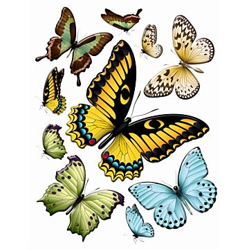 mural decorativo autoadhesivo mariposas amarillo, verde y azul de Sanders & Sanders