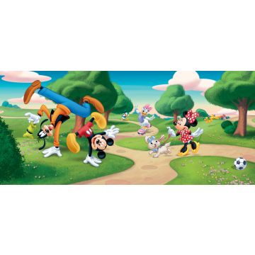 póster decorativo Mickey Mouse verde, azul y rojo de Disney