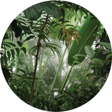 mural redondo autoadhesivo hojas de la selva tropical verde de Sanders & Sanders