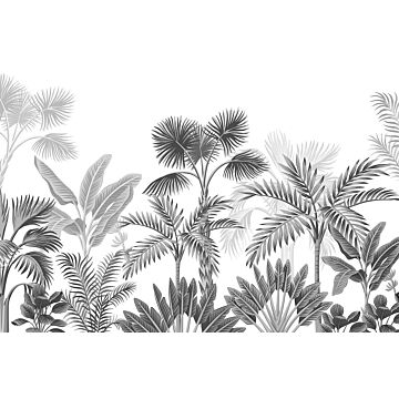fotomural paisaje con palmeras blanco y negro de Sanders & Sanders