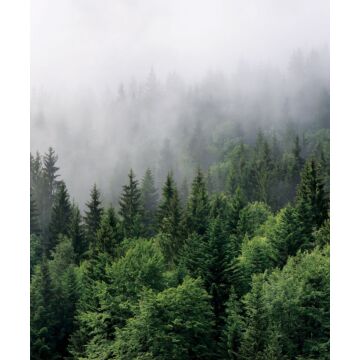 fotomural paisaje montañoso con árboles verde de Sanders & Sanders