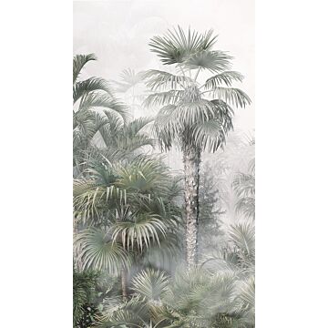fotomural paisaje con palmeras verde oscuro y gris de Sanders & Sanders