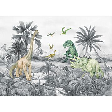póster decorativo dinosaurios gris de Sanders & Sanders