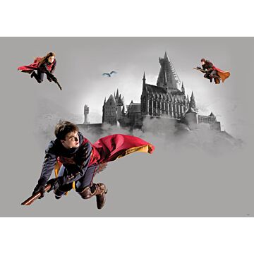 póster decorativo Harry Potter Colegio Hogwarts gris y rojo de Sanders & Sanders