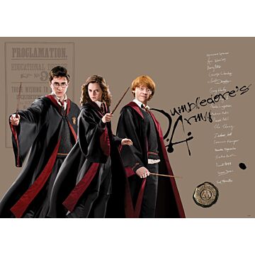 póster decorativo Harry Potter, Hermione Granger, Ron Weasley beige, negro y rojo de Sanders & Sanders