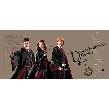 póster decorativo Harry Potter, Hermione Granger, Ron Weasley beige, negro y rojo de Sanders & Sanders