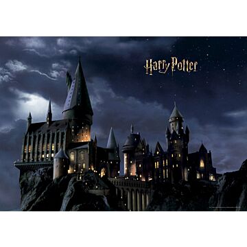 fotomural Harry Potter Colegio Hogwarts negro y azul oscuro de Sanders & Sanders