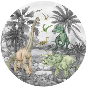 mural redondo autoadhesivo dinosaurios gris de Sanders & Sanders