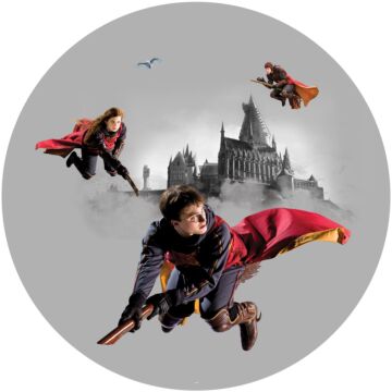 mural redondo autoadhesivo Harry Potter Colegio Hogwarts gris y rojo de Sanders & Sanders