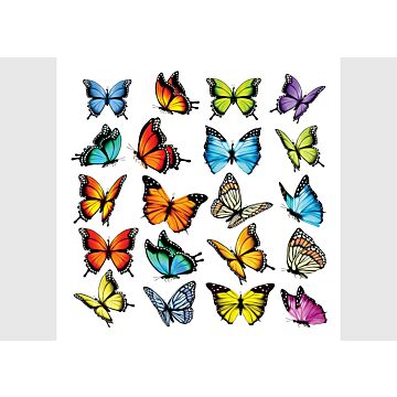 mural decorativo autoadhesivo mariposas multi color de Sanders & Sanders