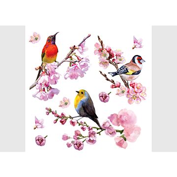 mural decorativo autoadhesivo flores y pájaros rosa de Sanders & Sanders