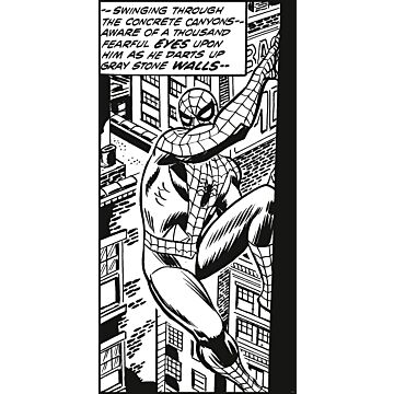 fotomural Spider-Man blanco y negro de Komar