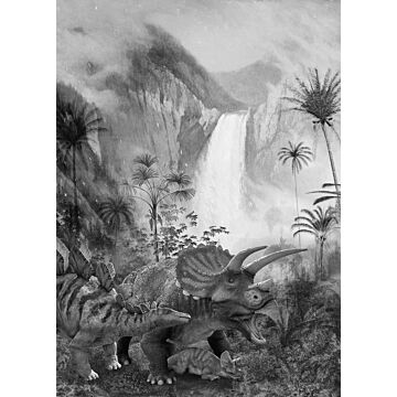 fotomural Jurassic Waterfall blanco y negro de Komar