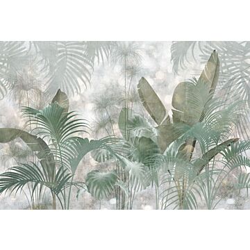 fotomural Paillettes Tropicales verde grisáceo de Komar