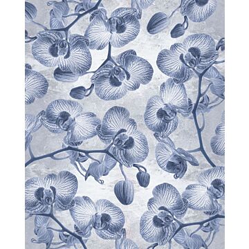 fotomural Orchidée azul de Komar