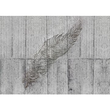 fotomural Concrete Feather gris de Komar