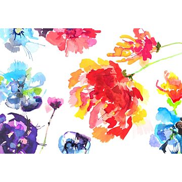 fotomural flores multi color de Sanders & Sanders