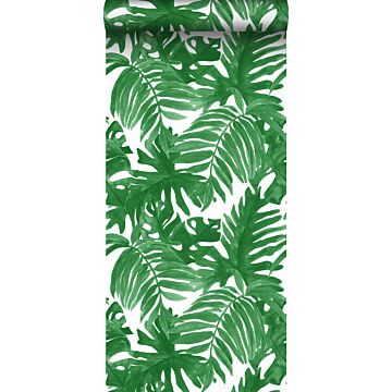 papel pintado hojas de palmera verde selva tropical de Sanders & Sanders